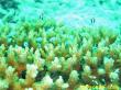 20090809_BBB_16.jpg