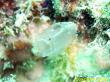 20090809_BBB_17.jpg