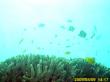 20090809_BBB_19.jpg