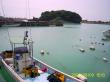 20090809_BBB_20.jpg