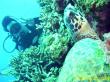 20090819-04.jpg