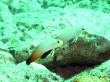 2009_08_22_EEE_003.jpg