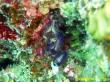 2009_10_18_BBB_019.jpg