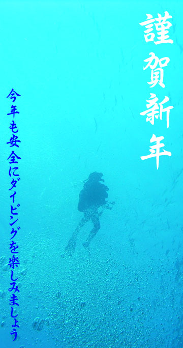 2010_01_01_01.jpg