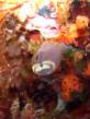 2010_05_24_BB_04.jpg