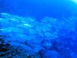 2010_07_10_A_06.jpg