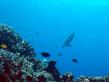 2010_07_19_A_15.jpg