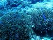 2010_09_23_CCC_04.jpg