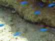 2011_07_17_A_03.jpg