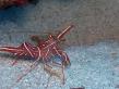 2011_09_03_A_03.jpg