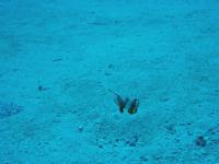 2012_05_04_A_03.jpg