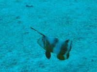 2012_05_04_A_04.jpg
