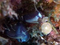 2012_05_04_CCC_04.jpg
