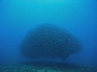 2012_05_19_A_02.jpg