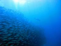 2012_05_19_A_04.jpg