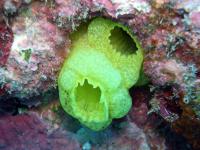 2012_05_19_A_06.jpg