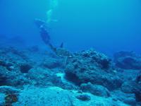 2012_05_19_A_07.jpg