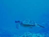 2012_05_19_A_08.jpg