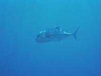 2012_05_19_A_11.jpg