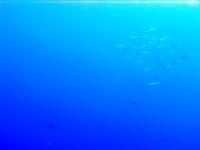2012_05_19_CCC_03.jpg