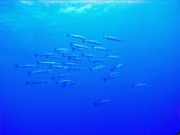 2012_05_19_CCC_05.jpg