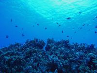 2012_05_20_A_03.jpg