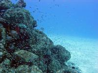 2012_05_20_A_04.jpg
