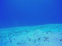 2012_05_20_A_07.jpg