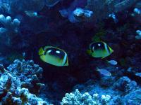 2012_05_20_BB_03.jpg