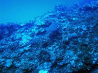 2012_06_30_A_01.jpg