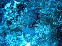 2012_06_30_A_03.jpg