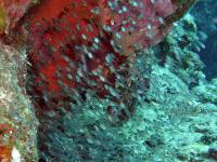 2012_06_30_A_04.jpg