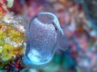 2012_06_30_A_06.jpg