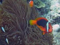 2012_06_30_A_07.jpg