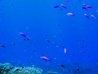 2012_06_30_BB_05.jpg