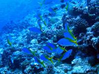 2012_06_30_CCC_07.jpg