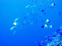2012_06_30_CCC_08.jpg