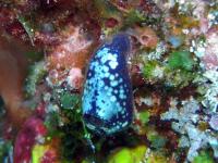 2012_07_22_36.jpg