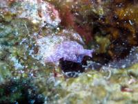 2012_07_22_A_01.jpg