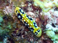 2012_07_22_A_04.jpg