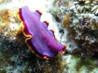 2012_07_22_A_07.jpg