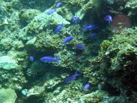 2012_07_22_BB_02.jpg
