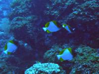 2012_07_22_BB_04.jpg