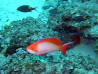 2012_12_08_CCC_05.jpg