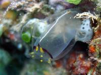 2012_12_08_CCC_08.jpg