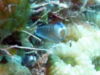 2013_08_04_A_05.jpg