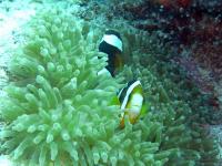 2013_08_04_A_06.jpg