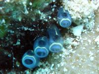 2013_08_04_BB_06.jpg