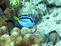2013_08_04_CCC_02.jpg