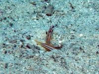 2013_08_04_CCC_04.jpg